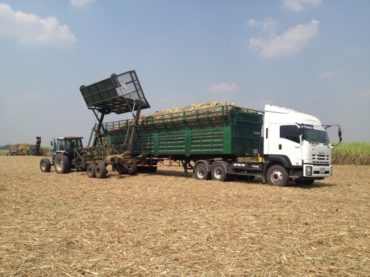 กระเช้าดั้มอ้อย กระเช้าดั้มอ้อย