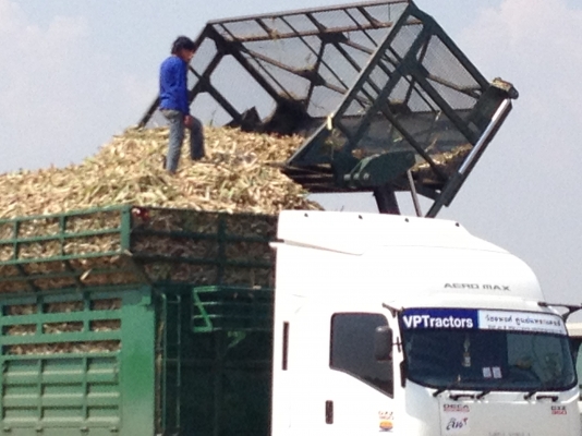 กระเช้าดั้มอ้อย กระเช้าดั้มอ้อย