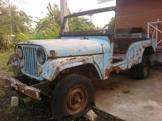 ขายจิ๊บ หน้ากบ ขายจิ๊บ หน้ากบ