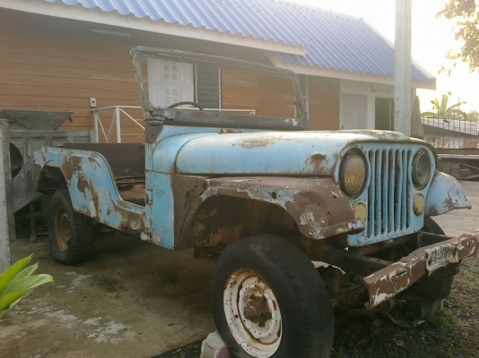 ขายจิ๊บ หน้ากบ