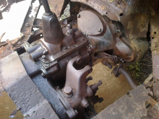 ขายจิ๊บ หน้ากบ ขายจิ๊บ หน้ากบ