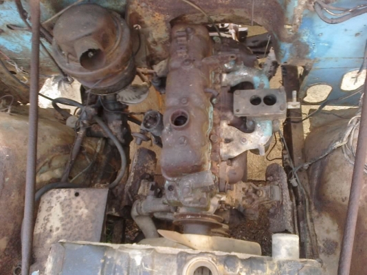 ขายจิ๊บ หน้ากบ ขายจิ๊บ หน้ากบ