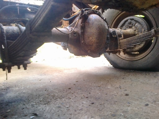 ขายจิ๊บ หน้ากบ ขายจิ๊บ หน้ากบ