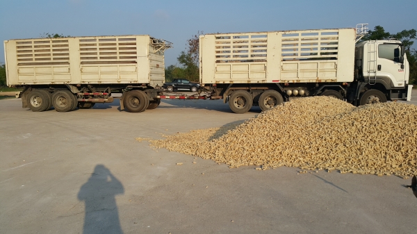 ขายรถพ่วง 24 ล้อ แม่.ลูก กระบะเหล็กคอกเกษตรดั้ม อู่.สามมิตรตัวใหม่ ISUZU 360 ปี.มิ.ย.52 รถสวยครับ ยางเต็ม ราคา.2550000 สนใจโทรเลย ขายรถพ่วง 24 ล้อ แม่.ลูก กระบะเหล็กคอกเกษตรดั้ม อู่.สามมิตรตัวใหม่ ISUZU 360 ปี.มิ.ย.52 รถสวยครับ ยางเต็ม ราคา.2550000 สนใจโทรเลย