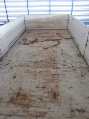 สินค้าพร้อมใช้งานคะ