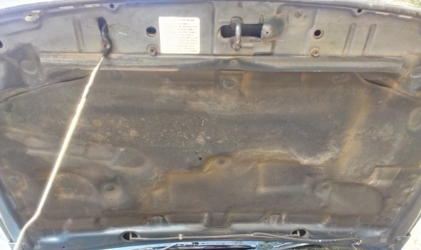 ขายแล้ว ขายแล้ว