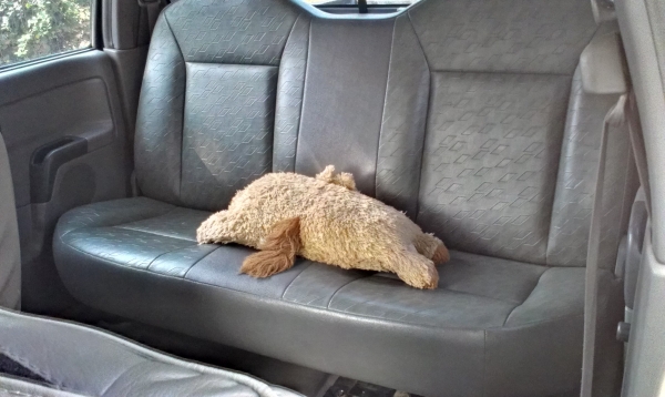 ขายแล้ว ขายแล้ว