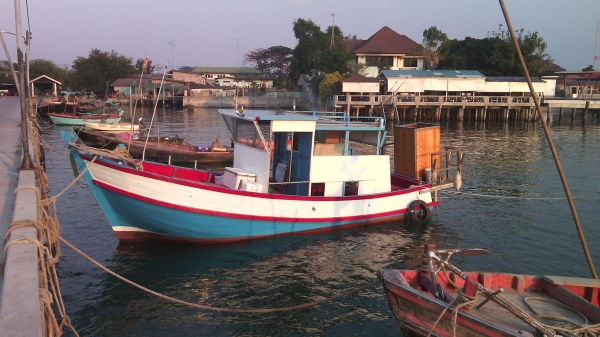 ขายเรือตกปลา ขายเรือตกปลา