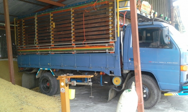 ขายNPR 115แท้ สภาพนางฟ้าFหน้าหลัง