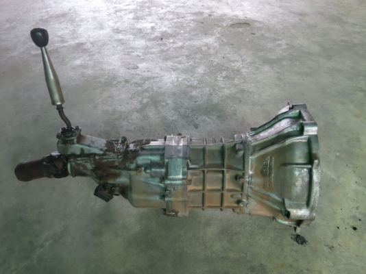 เกียร์ ไมตี้