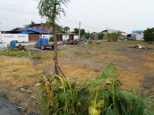 @@@ ขายที่ดินเปล่า หนองจอก คลองสิบ กทม.  @@@