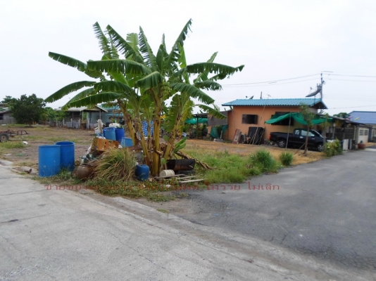 @@@ ขายที่ดินเปล่า หนองจอก คลองสิบ กทม.  @@@