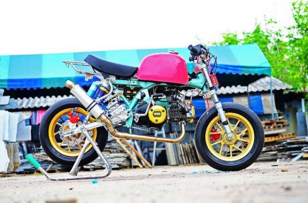 มังกี้แต่งๆๆ กอลิล่า แต่ง ลดราคาทุกรุ่น ต้อนรับปีใหม่ ด่วนๆๆ ลดๆๆ