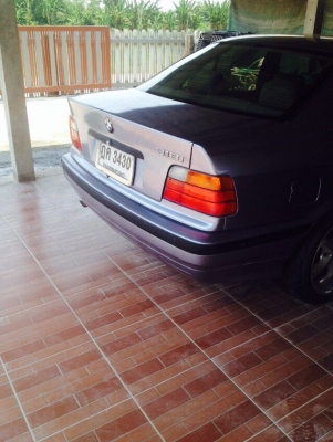 BMW  e36 นกแก้ว