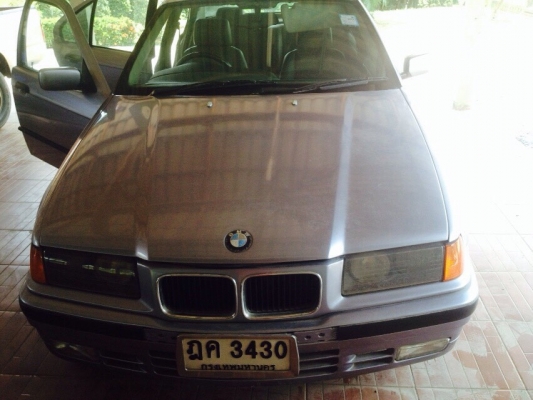 BMW  e36 นกแก้ว