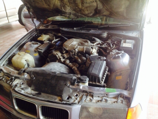 BMW  e36 นกแก้ว