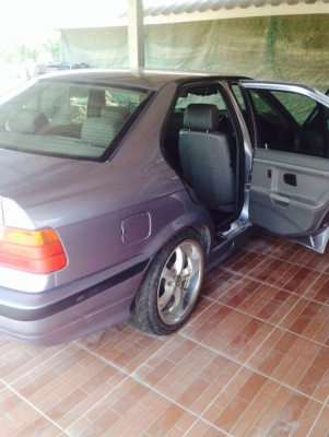 BMW  e36 นกแก้ว