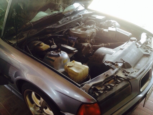 BMW  e36 นกแก้ว