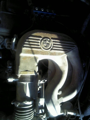 BMW  e36 นกแก้ว ปี 94