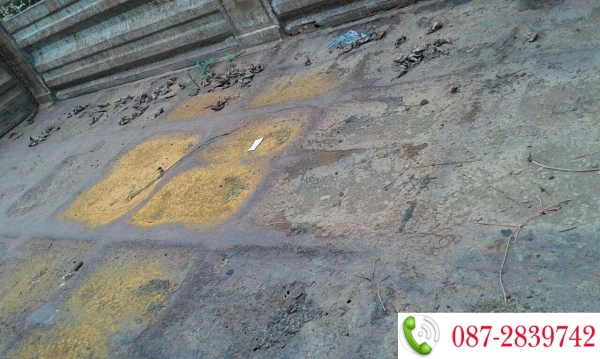 ขายกระบะรถบรรทุก 10 ล้อ (ไม่ดั้มพ์)