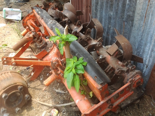 ขายตามสภาพโรต้ารี1.60ของนอกเปลียนใบใหม่ใช้งานปกติ ขายตามสภาพโรต้ารี1.60ของนอกเปลียนใบใหม่ใช้งานปกติ