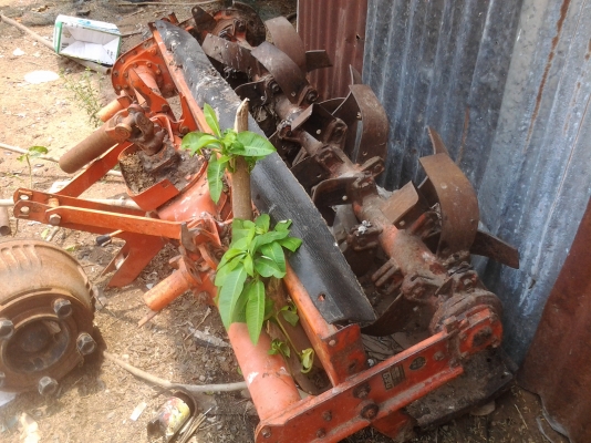 ขายตามสภาพโรต้ารี1.60ของนอกเปลียนใบใหม่ใช้งานปกติ ขายตามสภาพโรต้ารี1.60ของนอกเปลียนใบใหม่ใช้งานปกติ