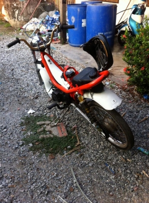 ขายชิ๊บปี้เครื่องเวฟ