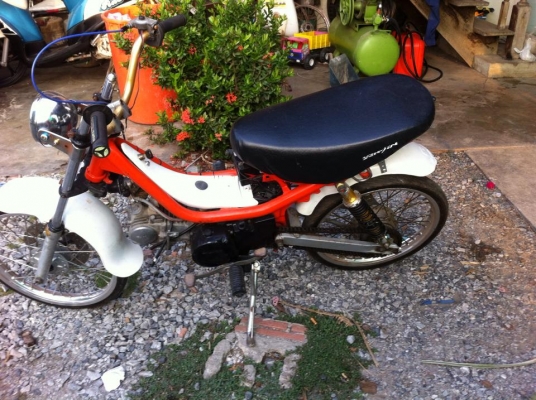 ขายชิ๊บปี้เครื่องเวฟ