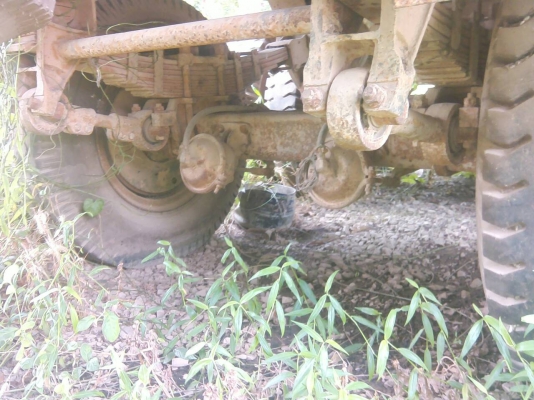 ขายหางลาก