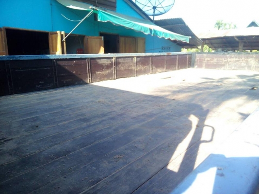 ***ขายแล้วครับขอบคุณ Truck2hand ขาย ISUZU NPR-120 6ล้อบรรทุก ขนาด5.0ม.รถห้างแท้ ISUZU NPR66PX5T 4HF1-120แรง ฝาขาว เกียร์สั้น ห้างแท้ ปี39 เครื่องเดิม เกียร์เดิม เครื่องดี แน่นดี แรง ไม่เยิ้ม เกียร์สั้นเข้าง่ายไม่หลุด ครับ ช่วงล่างเดิม ***ขายแล้วครับขอบคุณ Truck2hand ขาย ISUZU NPR-120 6ล้อบรรทุก ขนาด5.0ม.รถห้างแท้ ISUZU NPR66PX5T 4HF1-120แรง ฝาขาว เกียร์สั้น ห้างแท้ ปี39 เครื่องเดิม เกียร์เดิม เครื่องดี แน่นดี แรง ไม่เยิ้ม เกียร์สั้นเข้าง่ายไม่หลุด ครับ ช่วงล่างเดิม