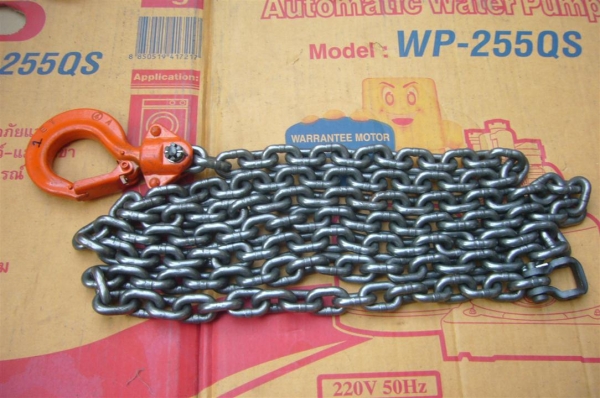 ตะขอ + โซ่ ( ตราช้าง )