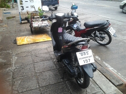 มีโอตัวเก่าปี49