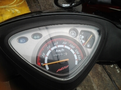 มีโอตัวเก่าปี49