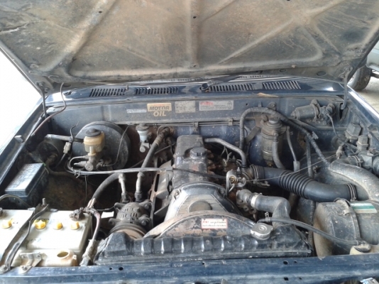 ขายไมตี้ x ช่วงสั้น 4 ขอ ขายไมตี้ x ช่วงสั้น 4 ขอ