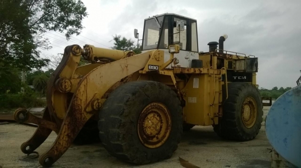 ขายรถตัก TCM 890