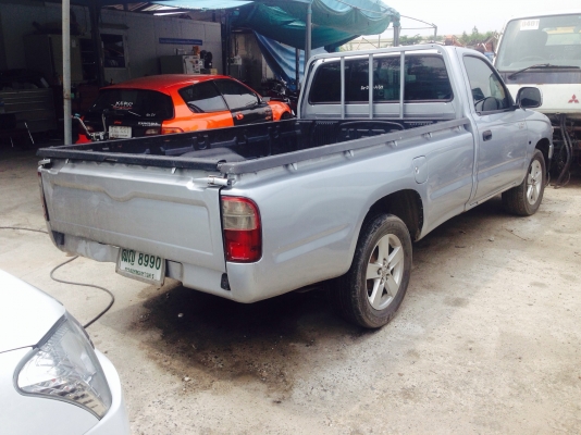 ขายไทเกอร์หัวเดี่ยว สวยๆคับ ขายไทเกอร์หัวเดี่ยว สวยๆคับ