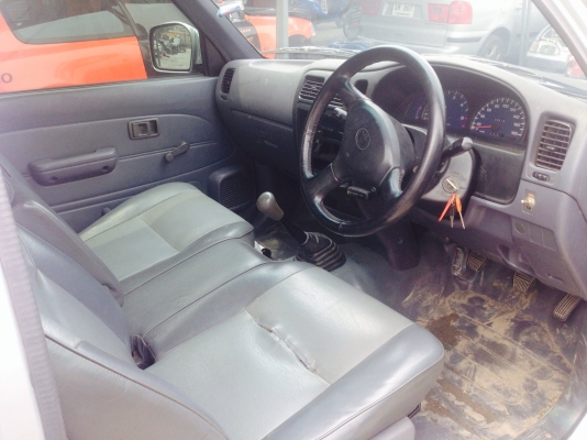 ขายไทเกอร์หัวเดี่ยว สวยๆคับ ขายไทเกอร์หัวเดี่ยว สวยๆคับ