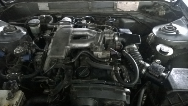 ขาย cefiro a31 85000 บาท ราตาต่อรองได้ครับ ขาย cefiro a31 85000 บาท ราตาต่อรองได้ครับ