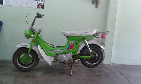 ///ขายจ้าชาลีแต่งสวยๆราคาถูกๆๆ///