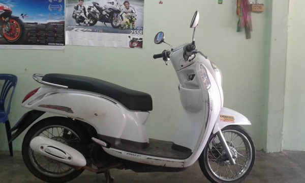 ///ขายจ้าสกุ๊ปปี้ตัวใหม่ราคาถูกๆๆ///