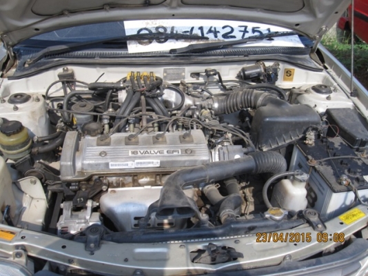 ขายโซลูน่า ขายโซลูน่า