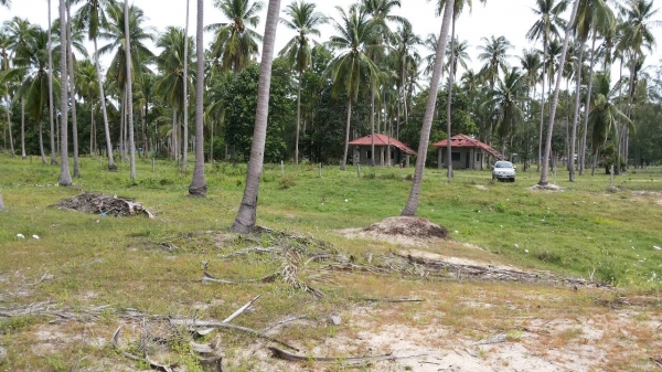 ขออนุญาติขายที่ดินหน้าติดทะเลหลังติดถนนราดยางสวยๆครับ