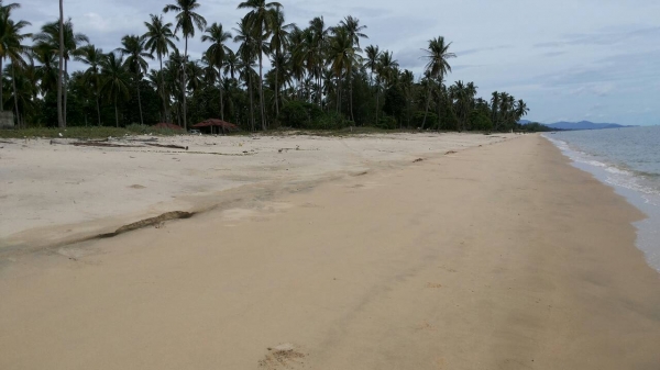 ขออนุญาติขายที่ดินหน้าติดทะเลหลังติดถนนราดยางสวยๆครับ