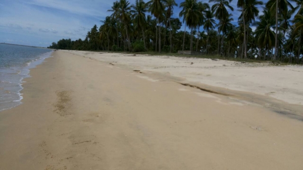 ขออนุญาติขายที่ดินหน้าติดทะเลหลังติดถนนราดยางสวยๆครับ