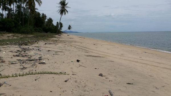 ขออนุญาติขายที่ดินหน้าติดทะเลหลังติดถนนราดยางสวยๆครับ