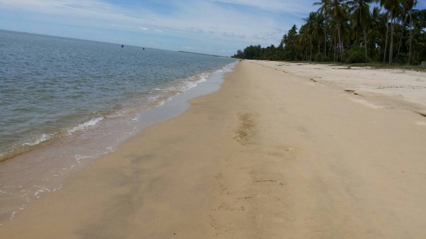 ขออนุญาติขายที่ดินหน้าติดทะเลหลังติดถนนราดยางสวยๆครับ