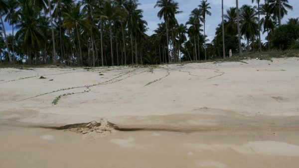 ขออนุญาติขายที่ดินหน้าติดทะเลหลังติดถนนราดยางสวยๆครับ