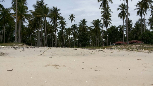 ขออนุญาติขายที่ดินหน้าติดทะเลหลังติดถนนราดยางสวยๆครับ