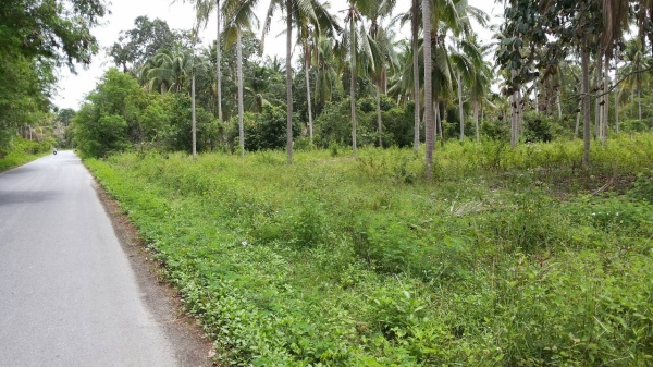 ขออนุญาติขายที่ดินหน้าติดทะเลหลังติดถนนราดยางสวยๆครับ