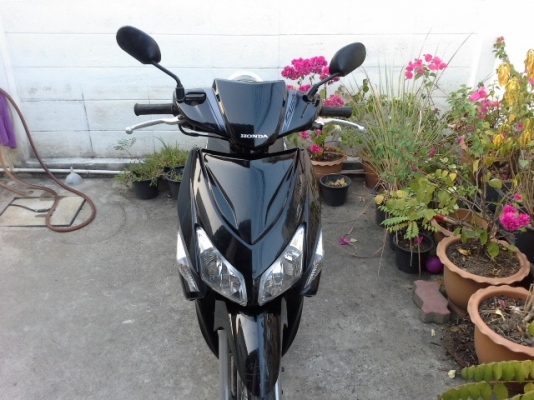 ขายคลิกคาร์บูปี51 ขายคลิกคาร์บูปี51